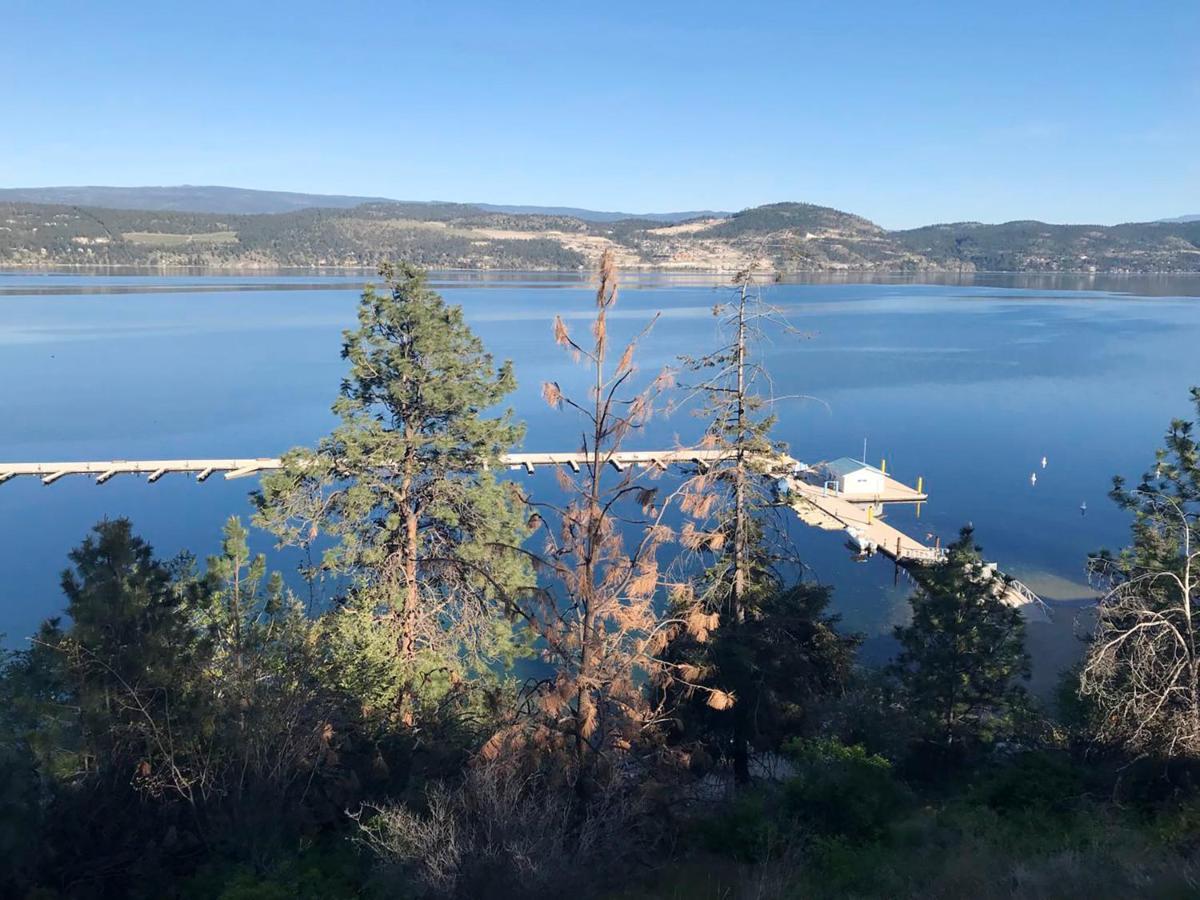 Cozystay Signature Lake Okanagan Resort Kelowna Esterno foto